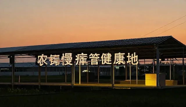 节点可查在慢病管理中的适用情况与限制